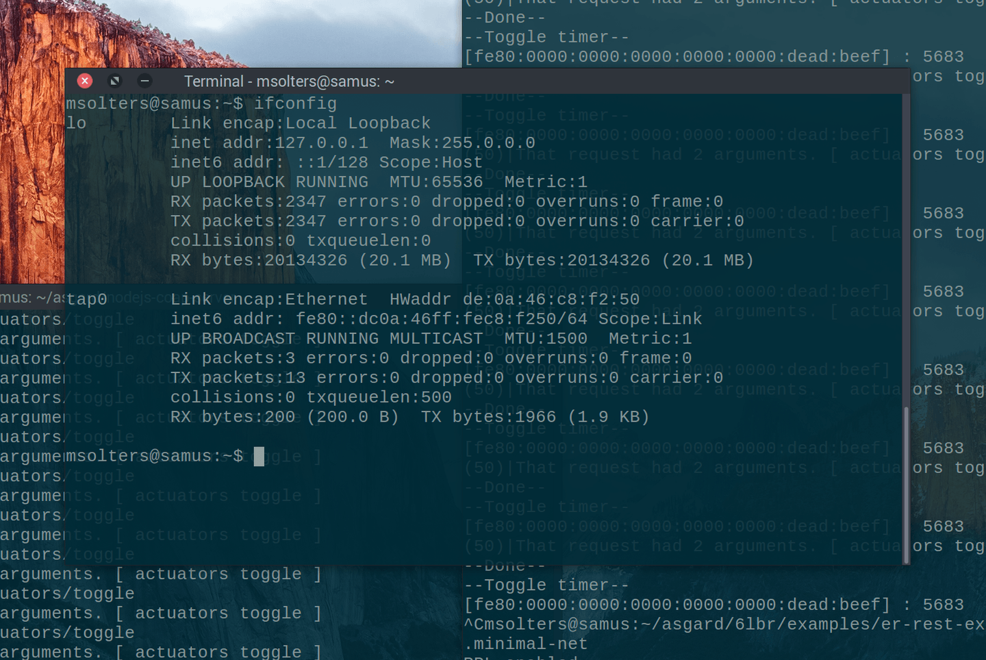 the tap0 interface created by minimal-net